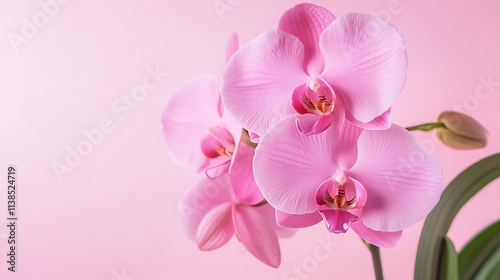 21. A bright orchid pink background with faint diagonal lines for a modern touch