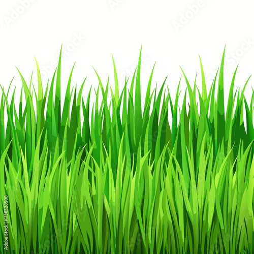 green grass isolated on white