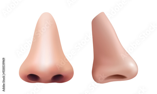 3d realistic vector icon  Hillustration. Human nose and profile. Man anatomy, body parts, respiratory elements.