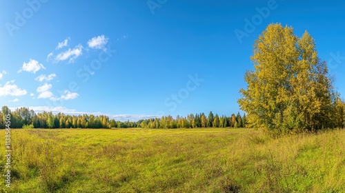 Scenic Autumn Landscape with Lush Green Field and Golden Trees under Blue Sky