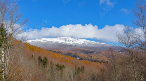 Scenic Autumn Landscape with Snow-Capped Mountain and Blue Sky