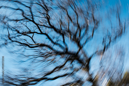 trees with motion blur