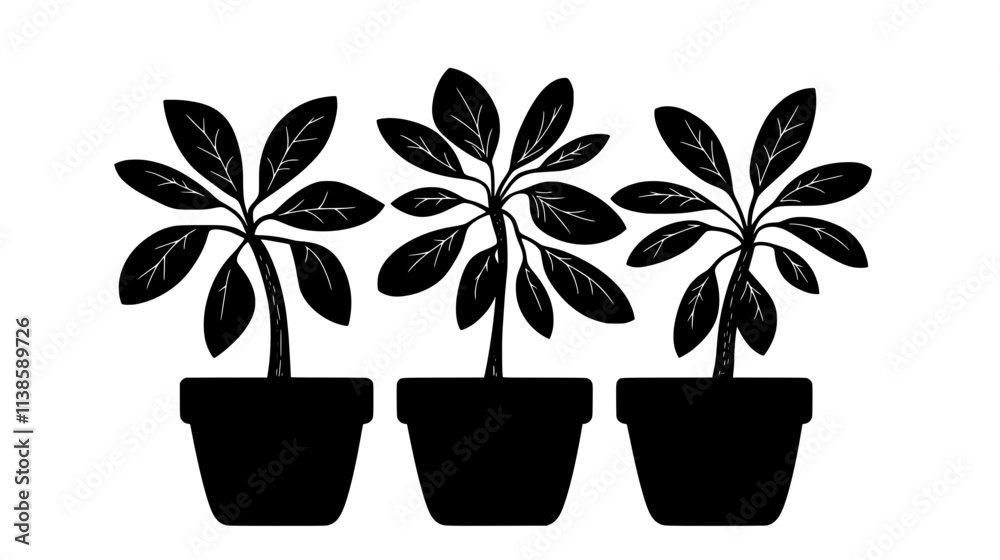 Fototapeta premium Euphorbia plants with milky sap for rubber production, Vectorized Plant Art