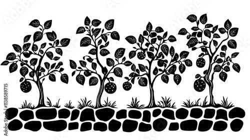 Espaliered fruit trees trained along a south-facing stone wall, Vectorized Plant Art
