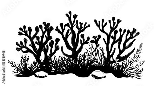 Euphorbia plants with unusual shapes in a dry environment, Vectorized Plant Art