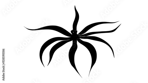 Ghost orchid bloom suspended in air without visible stem, Vectorized Plant Art
