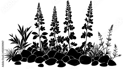 Group of lupines growing in a perennial border garden surrounded by stones, Vectorized Plant Art