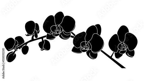 Orchid flower viewed from the side showing petal and sepal arrangement, Vectorized Plant Art