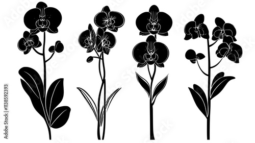 Orchid stem with buds at various stages of development, Vectorized Plant Art