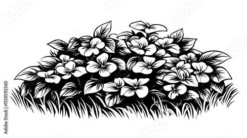Impatiens growing in a shaded corner of a backyard flower bed, Vectorized Plant Art