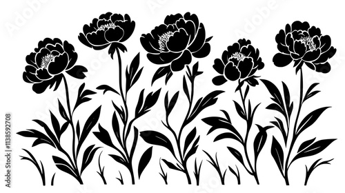 Peony plants with large blooms in an established garden, Vectorized Plant Art