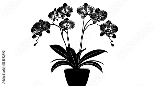 A Phalaenopsis orchid plant with multiple flower spikes growing indoors, Vectorized Plant Art