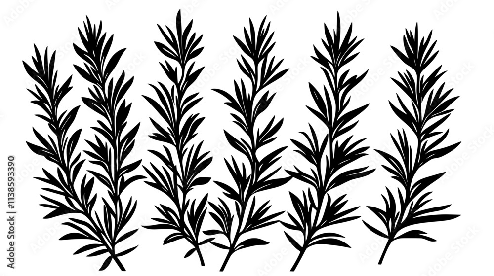 Fototapeta premium Rosemary bush with needle-like leaves growing on woody stems in a garden, Vectorized Plant Art