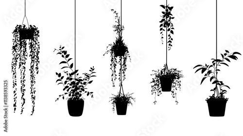 Rex begonia vine climbing a moss pole in a conservatory setting, Vectorized Plant Art