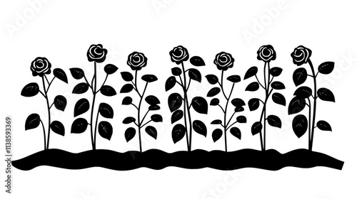 Rose bushes in rows at a commercial growing facility, Vectorized Plant Art