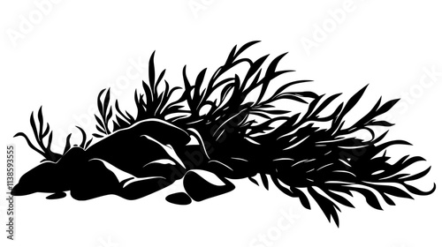 Seaweed washed up on a sandy beach at low tide, Vectorized Plant Art