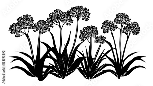 Sedum plants with flat-topped flower clusters, Vectorized Plant Art