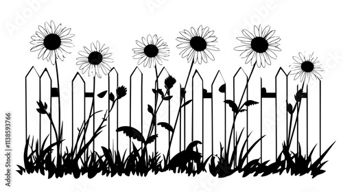 Shasta daisies lining an informal border along a white picket fence, Vectorized Plant Art