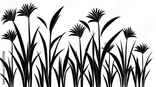 Sisal plants with sword-like leaves in a plantation for fiber extraction, Vectorized Plant Art