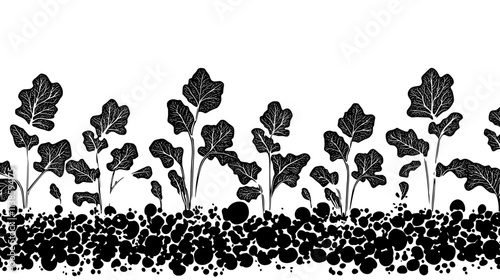 Sugar beet field with leafy tops ready for bioethanol production, Vectorized Plant Art