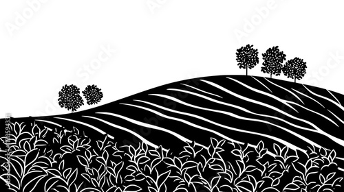 Tea bushes covering a hillside in neat rows, Vectorized Plant Art