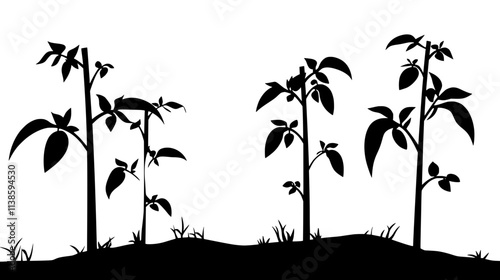 Tomato vines supported by stakes in a field, Vectorized Plant Art