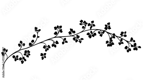 A trailing vine with many small flowers growing along its length, Vectorized Plant Art
