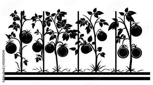 Tomato vines supported by strings in a soilless greenhouse system, Vectorized Plant Art