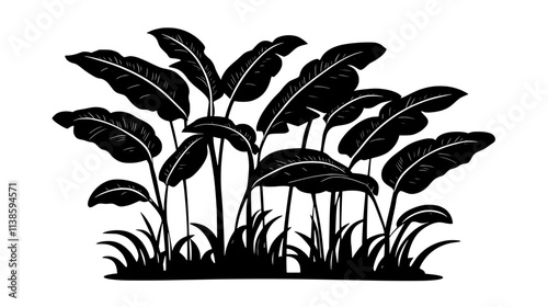 Turmeric plants with large leaves in a tropical garden, Vectorized Plant Art