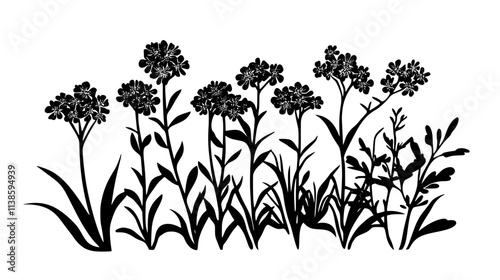 Yarrow plants with flat-topped flower clusters in a xeriscape garden, Vectorized Plant Art