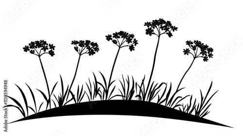 Yarrow plants flowering in a wild meadow setting, Vectorized Plant Art