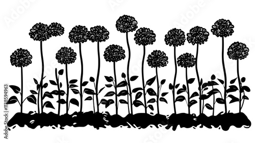 Zinnias growing in a cutting garden with paths between rows, Vectorized Plant Art