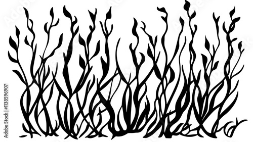 Eelgrass underwater in a coastal marine environment, Plant Illustration