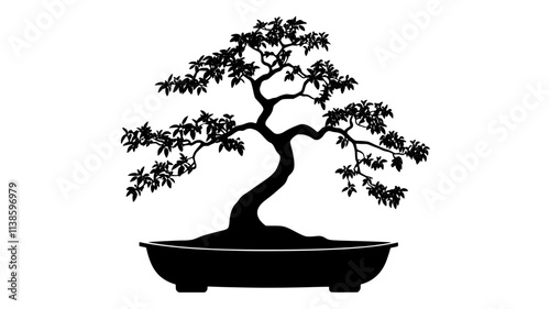 Elm bonsai with small leaves in informal upright style, Plant Illustration