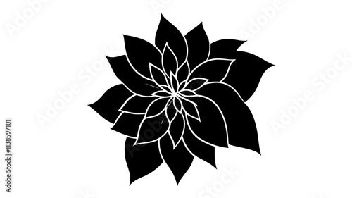 Five-petaled flower with overlapping, rounded petals in a circular arrangement, Plant Illustration