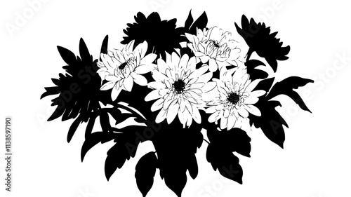 A floral bouquet featuring mixed single and pompon chrysanthemums, Plant Illustration