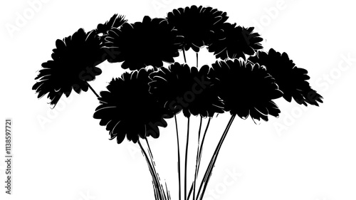 Gerbera daisies displayed in a structured bouquet with visible stems and leaves, Plant Illustration