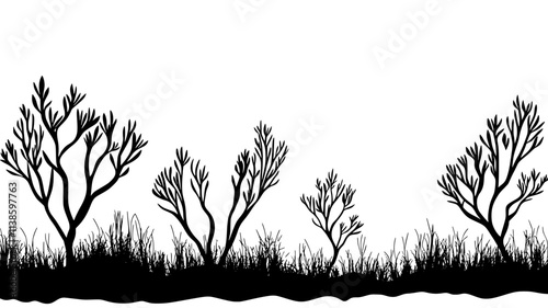 Glasswort plants growing in a coastal salt marsh, Plant Illustration