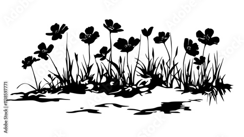 Glacier buttercup blooms peeking through melting snow patch, Plant Illustration