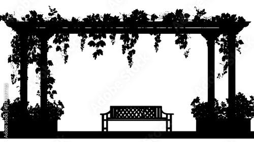 Grape vines trained on pergola over courtyard patio, Plant Illustration