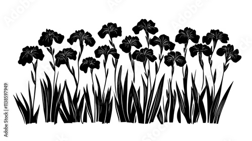 Group of Siberian irises growing together in a landscaped garden, Plant Illustration