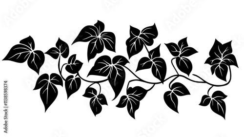 Ivy covering wall surface with lobed leaves on clinging stems, Plant Illustration