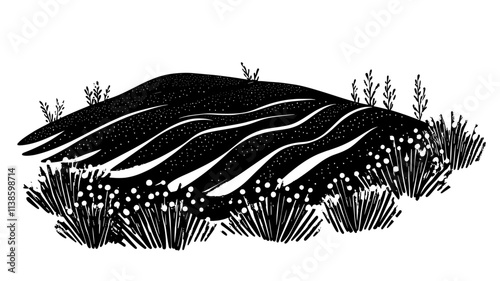 Lavender bushes in rows on a hillside, Plant Illustration