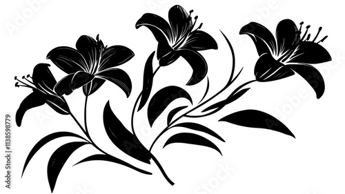 Lilies organized in a traditional funeral spray, stems extending outward, Plant Illustration