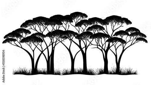 Mahogany trees with a spreading canopy in a tropical forest for hardwood lumber, Plant Illustration