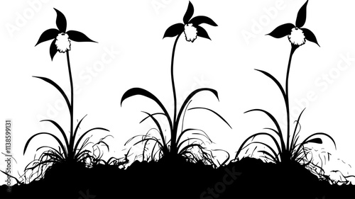 Multiple ghost orchid plants growing on single tree, Plant Illustration