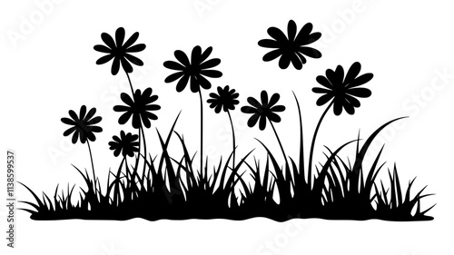 A patch of daisies growing naturally in a meadow, surrounded by grass, Plant Illustration