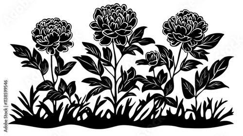 Peonies blooming in a flower bed surrounded by mulch and garden borders, Plant Illustration