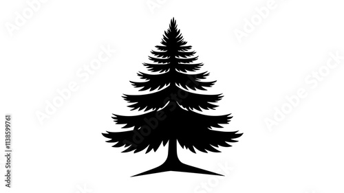 Pine tree with a conical shape and needle-like leaves in a dense forest, Plant Illustration