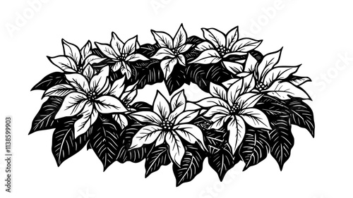 Poinsettias growing in a circular arrangement in a public park, Plant Illustration